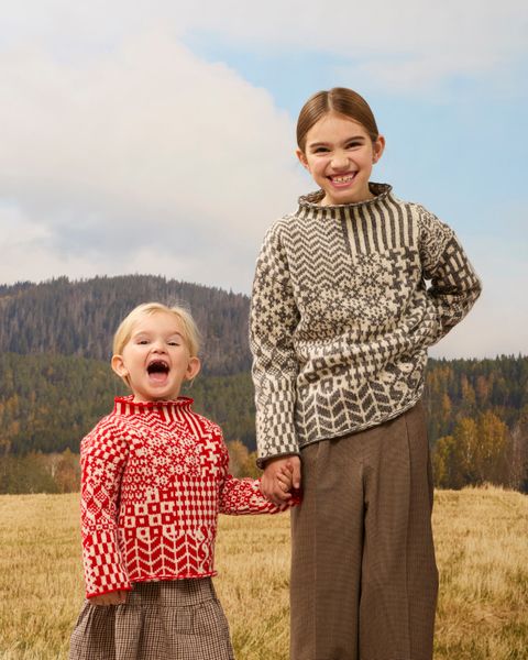 455-1 Nordic Mix Mini